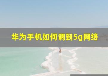 华为手机如何调到5g网络