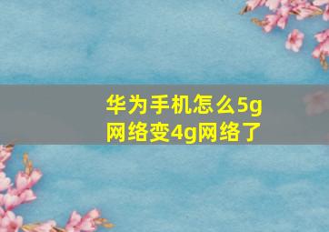 华为手机怎么5g网络变4g网络了