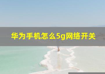 华为手机怎么5g网络开关