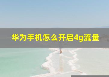 华为手机怎么开启4g流量