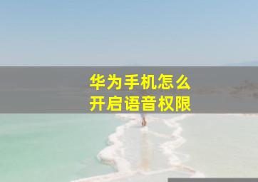 华为手机怎么开启语音权限