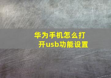 华为手机怎么打开usb功能设置