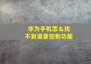 华为手机怎么找不到语音控制功能