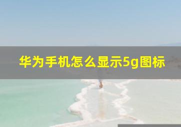 华为手机怎么显示5g图标