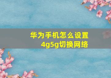 华为手机怎么设置4g5g切换网络