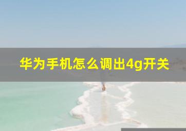 华为手机怎么调出4g开关