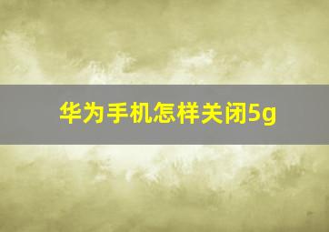 华为手机怎样关闭5g