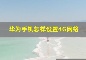 华为手机怎样设置4G网络