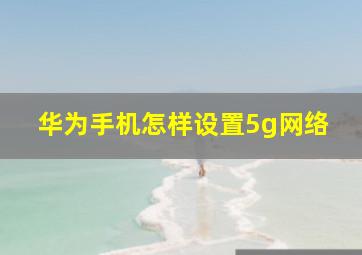 华为手机怎样设置5g网络