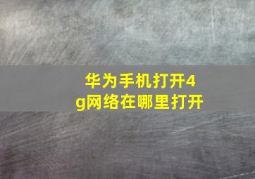 华为手机打开4g网络在哪里打开