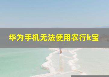 华为手机无法使用农行k宝