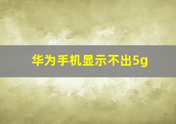 华为手机显示不出5g