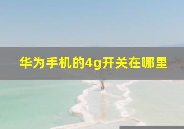 华为手机的4g开关在哪里