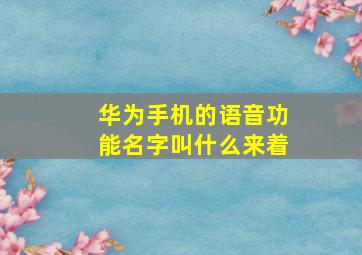 华为手机的语音功能名字叫什么来着