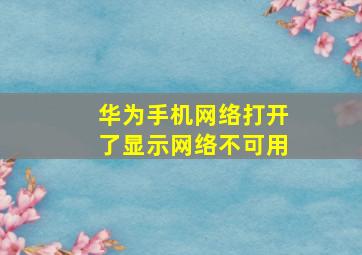 华为手机网络打开了显示网络不可用