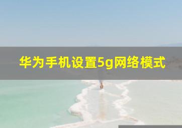 华为手机设置5g网络模式