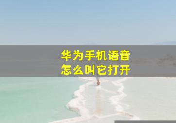 华为手机语音怎么叫它打开