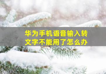 华为手机语音输入转文字不能用了怎么办