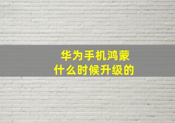 华为手机鸿蒙什么时候升级的