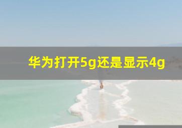 华为打开5g还是显示4g