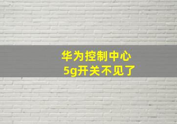 华为控制中心5g开关不见了