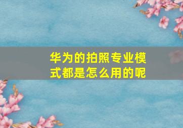 华为的拍照专业模式都是怎么用的呢