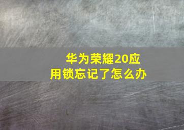 华为荣耀20应用锁忘记了怎么办