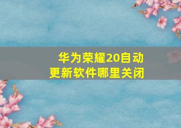 华为荣耀20自动更新软件哪里关闭