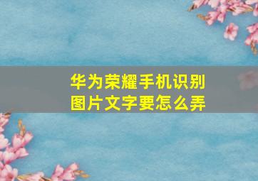 华为荣耀手机识别图片文字要怎么弄