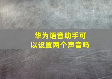 华为语音助手可以设置两个声音吗