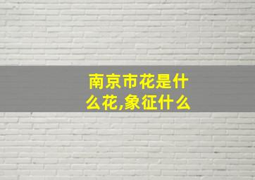 南京市花是什么花,象征什么