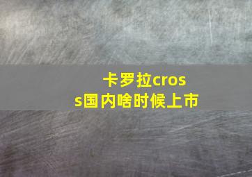 卡罗拉cross国内啥时候上市