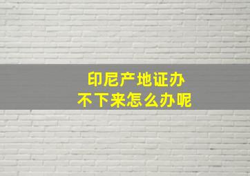 印尼产地证办不下来怎么办呢