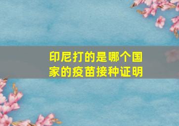 印尼打的是哪个国家的疫苗接种证明