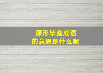 原形毕露成语的意思是什么呢