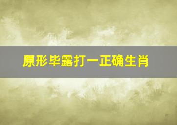 原形毕露打一正确生肖