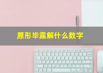 原形毕露解什么数字