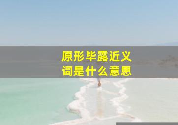 原形毕露近义词是什么意思