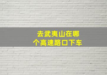 去武夷山在哪个高速路口下车