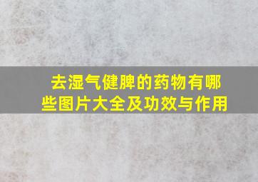 去湿气健脾的药物有哪些图片大全及功效与作用