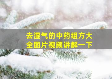 去湿气的中药组方大全图片视频讲解一下