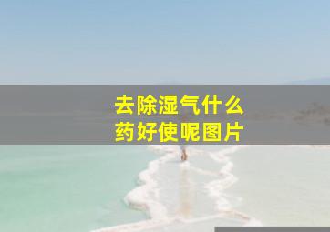 去除湿气什么药好使呢图片