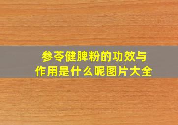 参苓健脾粉的功效与作用是什么呢图片大全