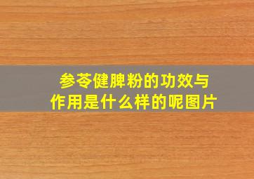 参苓健脾粉的功效与作用是什么样的呢图片