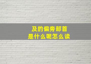 及的偏旁部首是什么呢怎么读