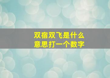 双宿双飞是什么意思打一个数字