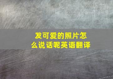 发可爱的照片怎么说话呢英语翻译