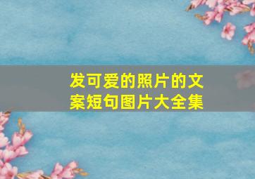 发可爱的照片的文案短句图片大全集