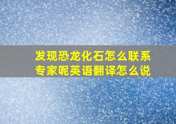 发现恐龙化石怎么联系专家呢英语翻译怎么说