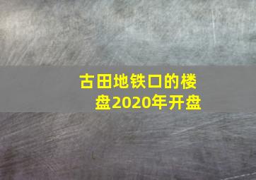 古田地铁口的楼盘2020年开盘